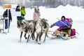 Local aborigines - Khanty, ride children on a reindeer sleigh of three deer, sleigh, winter, Ã¢â¬ÅSeeing off winterÃ¢â¬Â festival Royalty Free Stock Photo